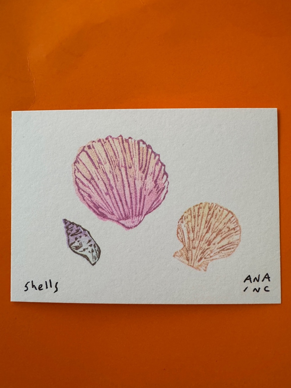 Ana Inciardi Shells Mini Art Print